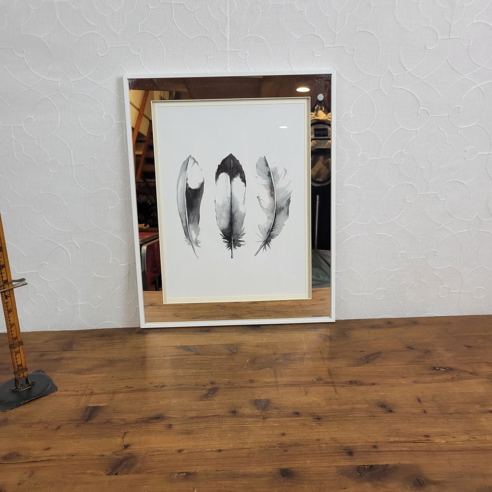 3 Feathers Hanging Decorative Framed Wall Art Boho Ethnic Celebrity #WG16202638